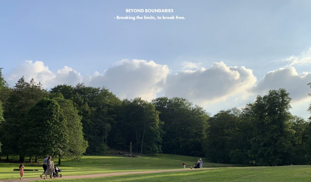 innovator(イノベーター)