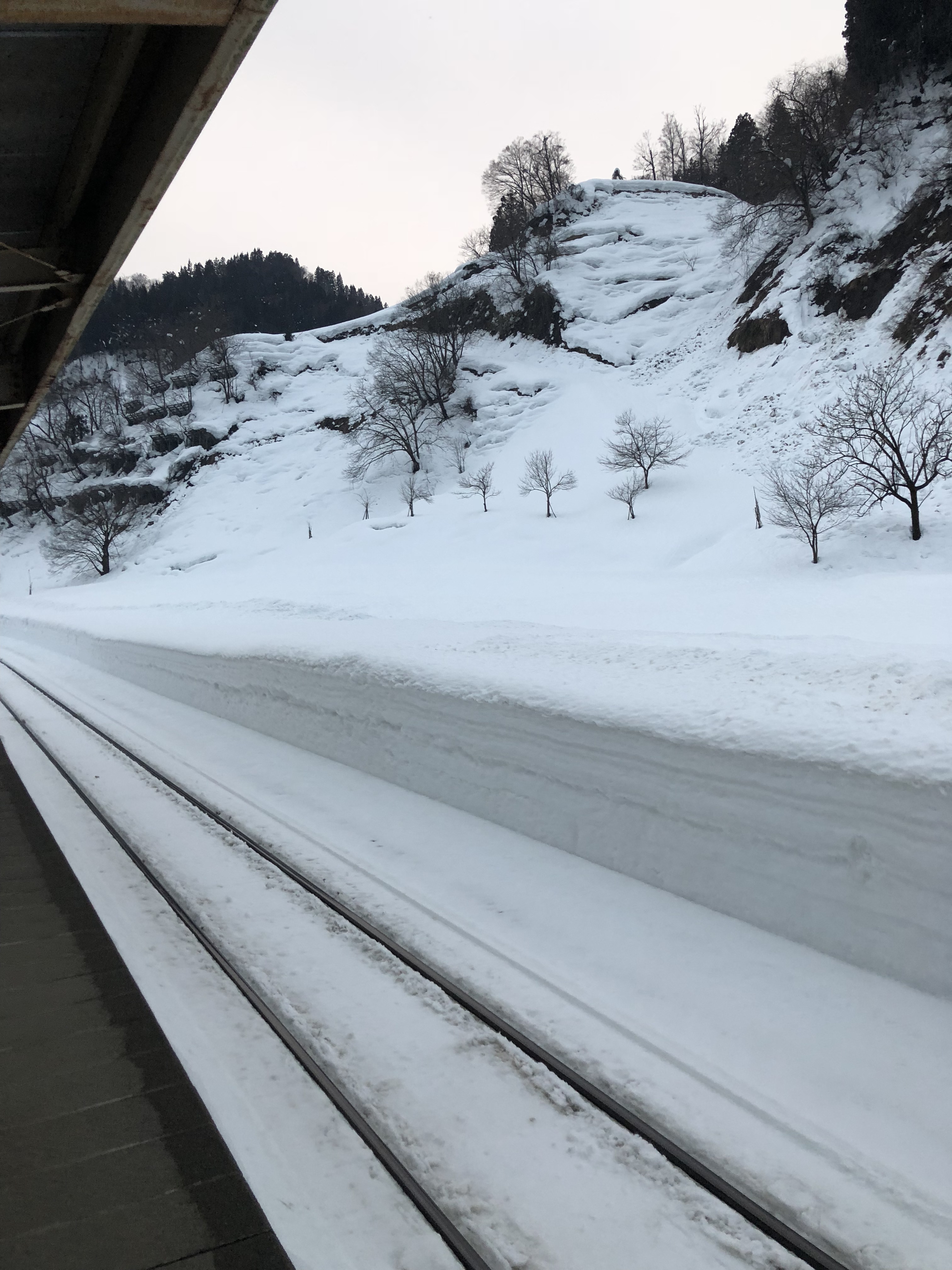 2019年2月3日に津南市「津南町からの新潟方面移動中の車窓景色」で撮影した写真