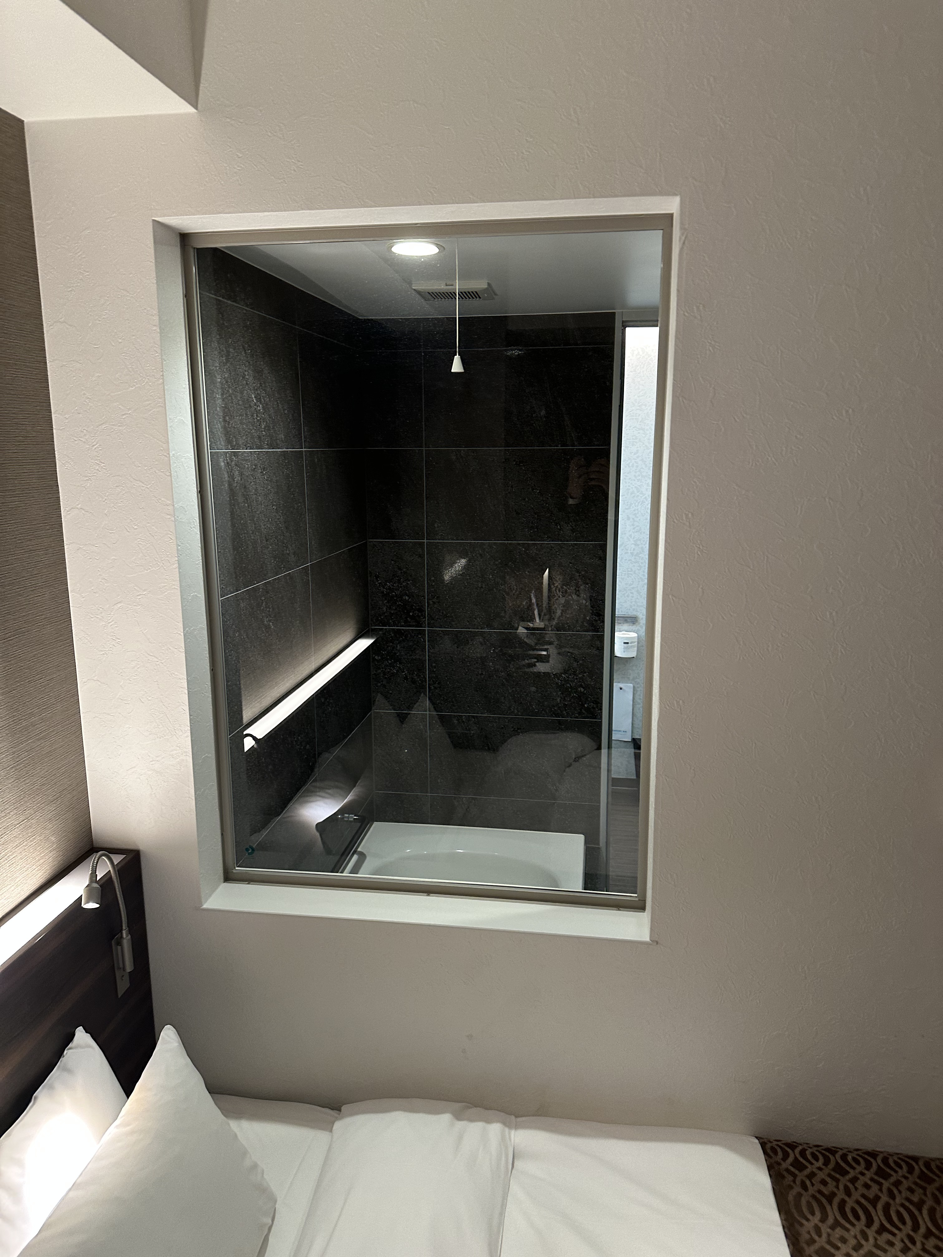 2026年2月19日に奈良市「ピアッツァホテル」で撮影した写真