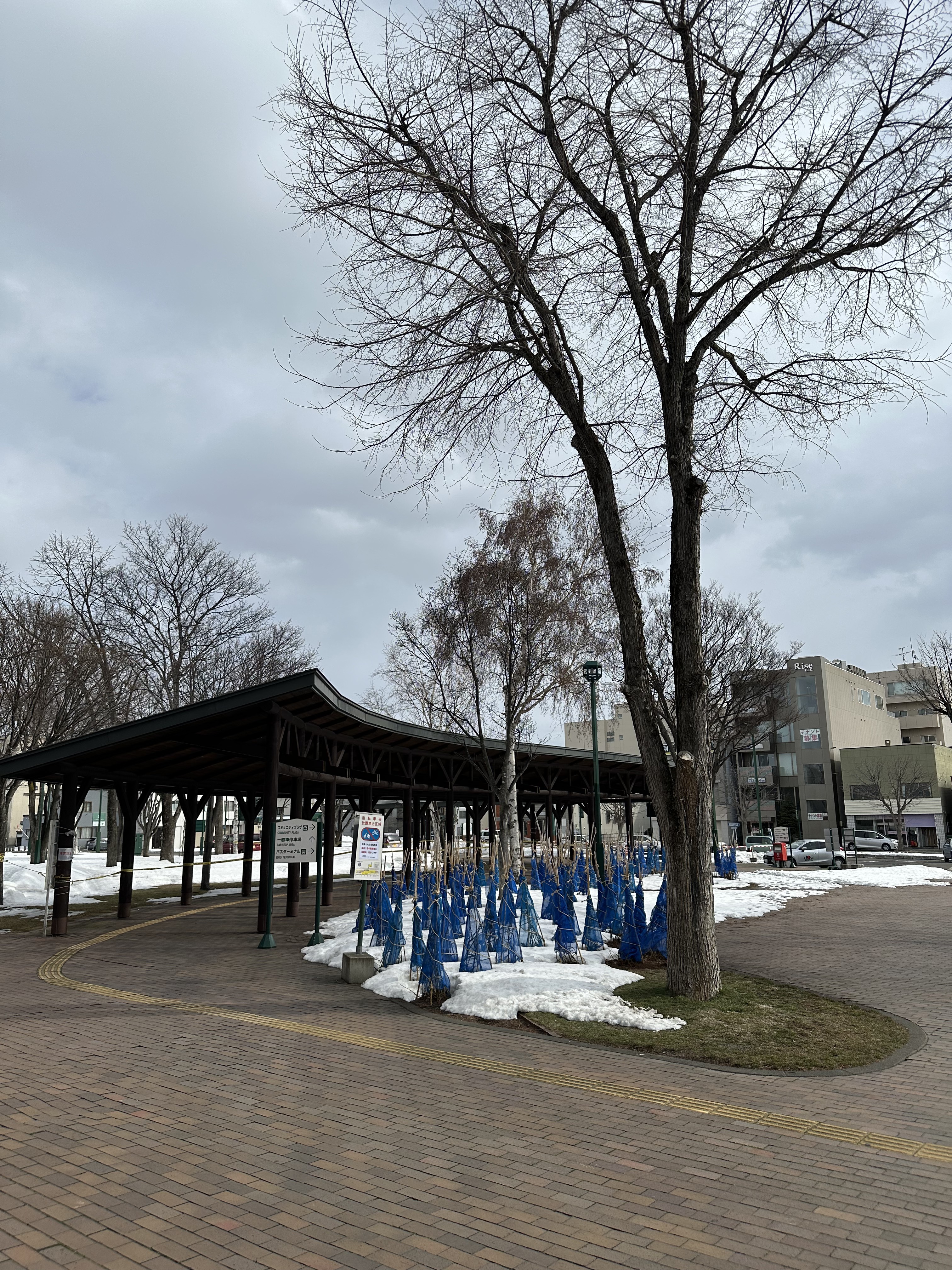 2026年2月24日に岩見沢市「岩見沢駅」で撮影した写真