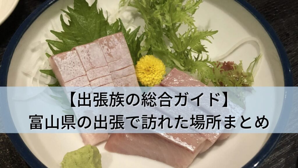 【出張族の総合ガイド】富山県(富山・高岡・黒部・滑川)の出張で訪れた全9か所まとめ(ランチ・ディナー・景色)
