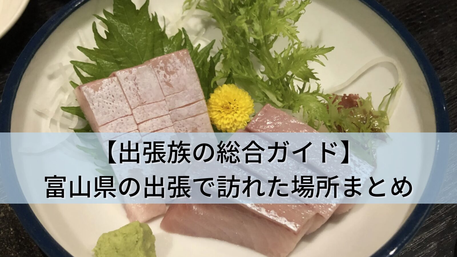 【出張族の総合ガイド】富山県(富山・高岡・黒部・滑川)の出張で訪れた全9か所まとめ(ランチ・ディナー・景色)