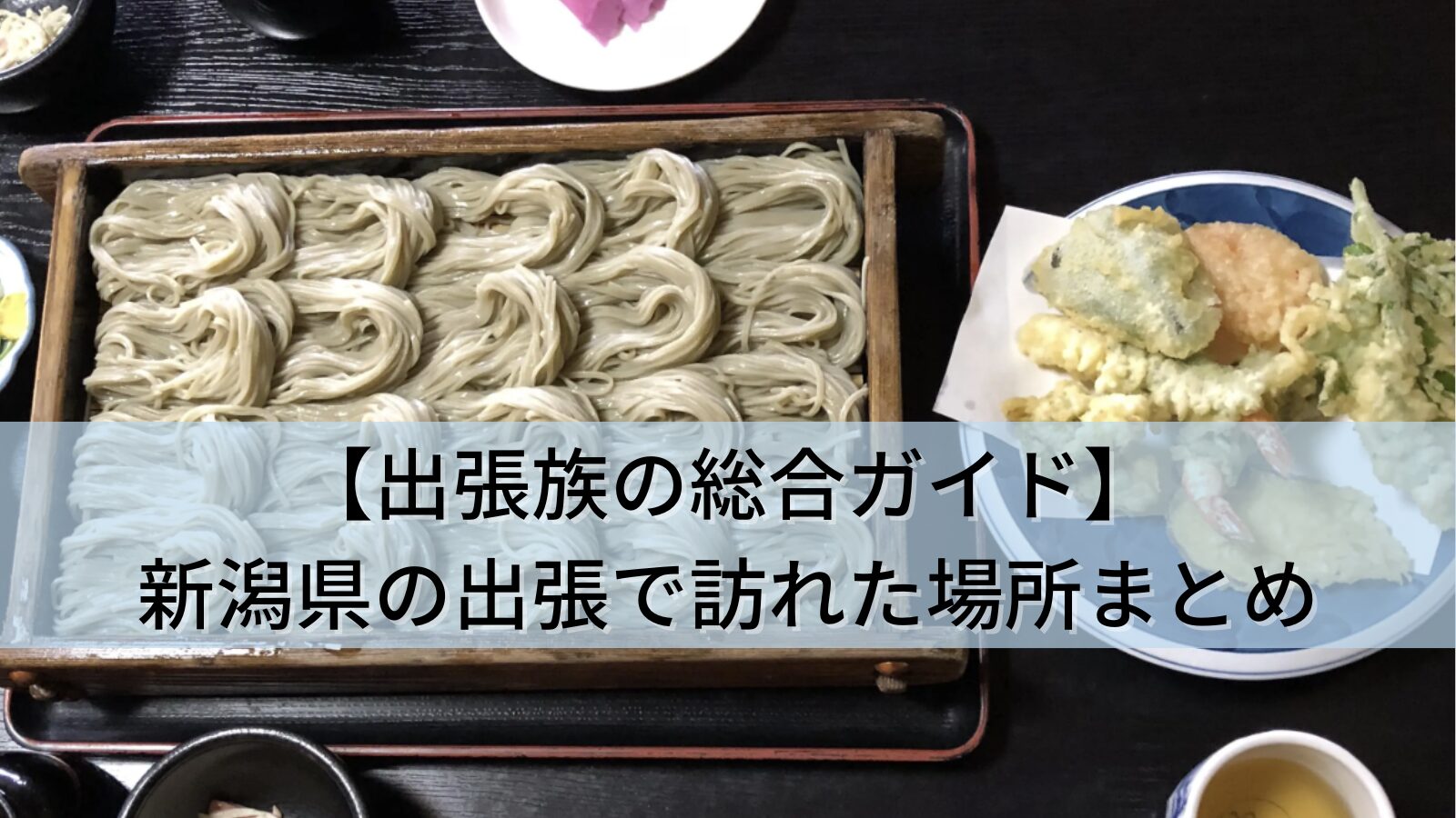 【出張族の総合ガイド】新潟県の出張で訪れた全15か所まとめ