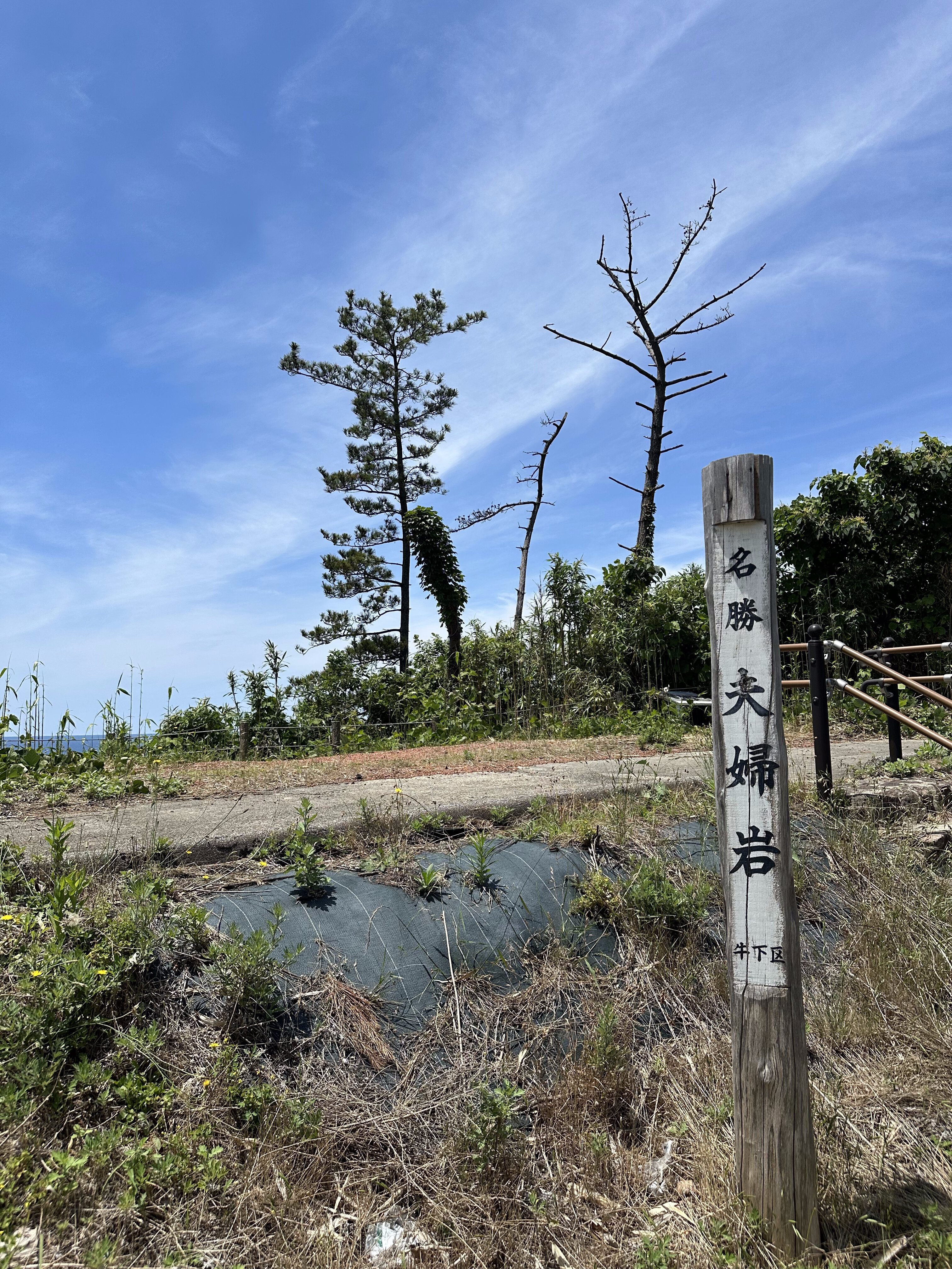 夫婦岩 (草木で見えず)