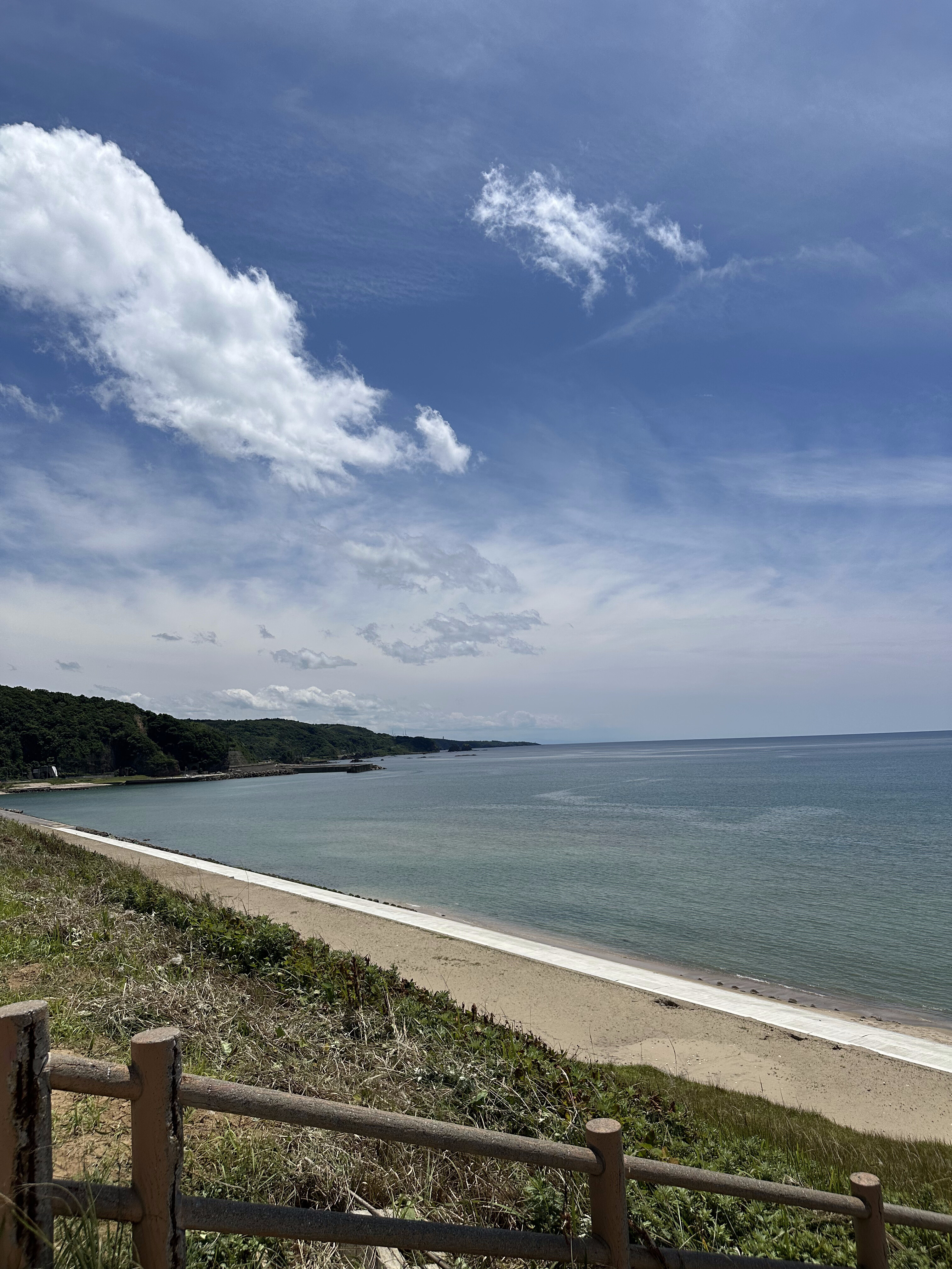 海岸の景色