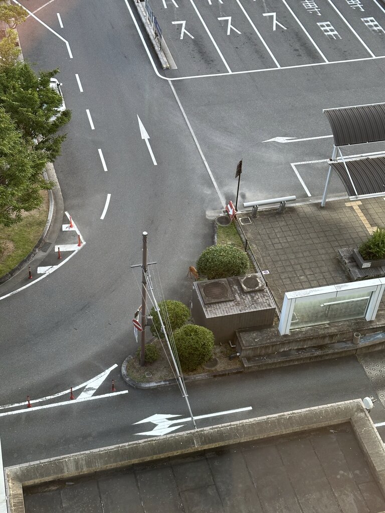 部屋から撮影した朝の景色。なんと、駅前の道路に普通に鹿が歩いていました。小さいですがわかりますでしょうか。割と衝撃だったのですが、奈良らしい光景でもあります。