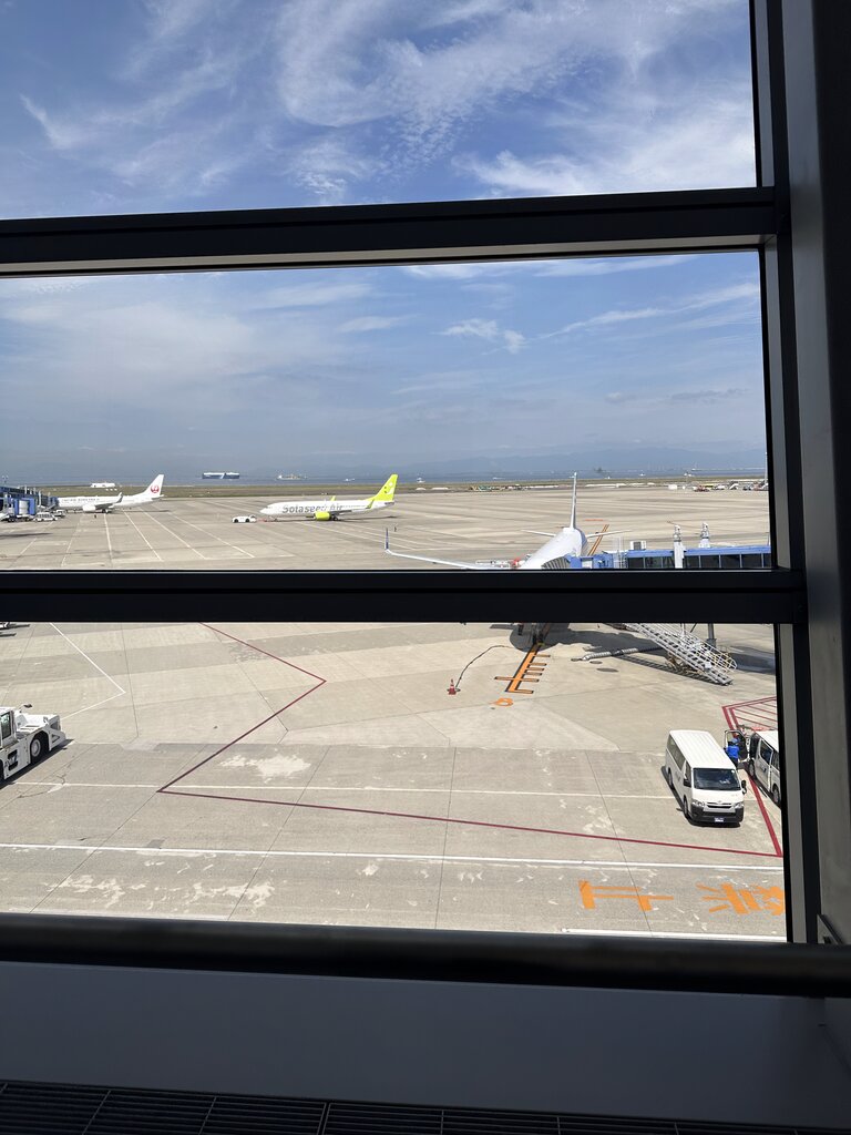 ソファーから見た外の景色。晴れていて気持ちがいい朝でした。