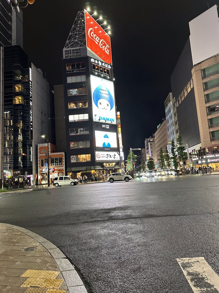 すすきの周辺の別アングル。